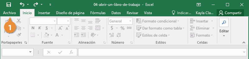 Abrir un Libro de Trabajo