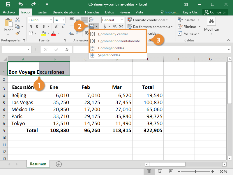 Combinar Celdas