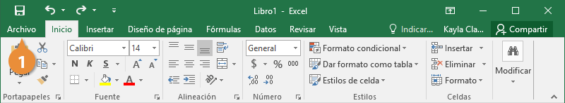 Crear un Libro de Trabajo