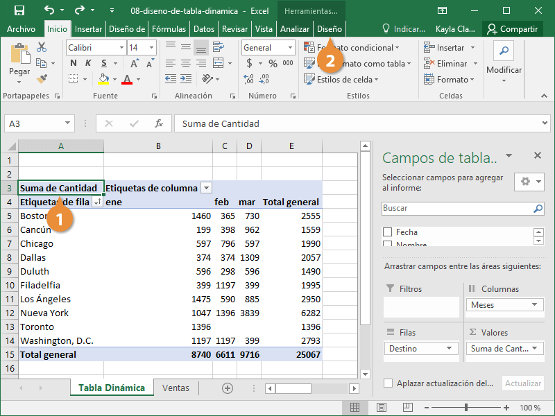 Diseño de Tabla Dinamica