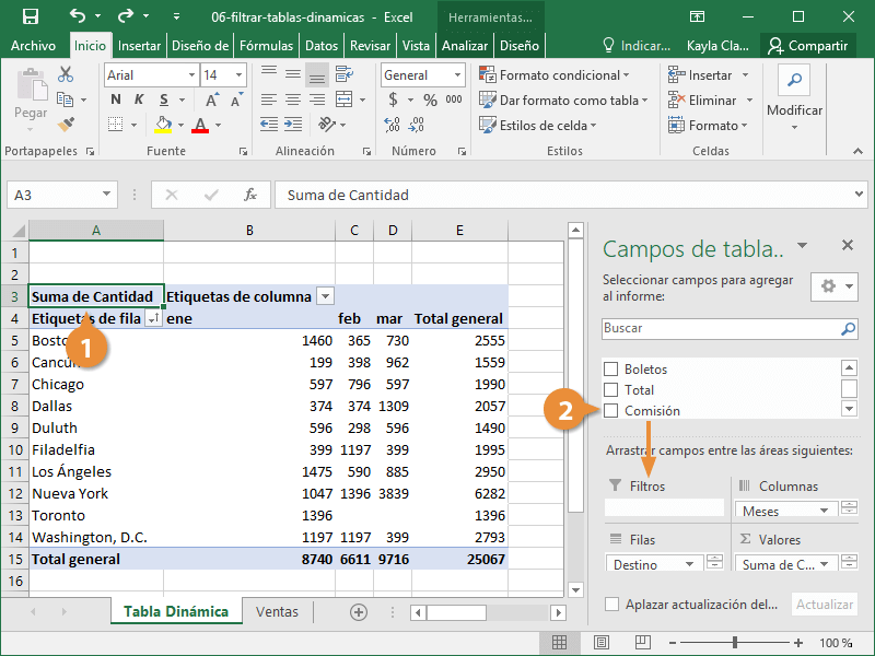 Filtrar Tablas Dinámicas