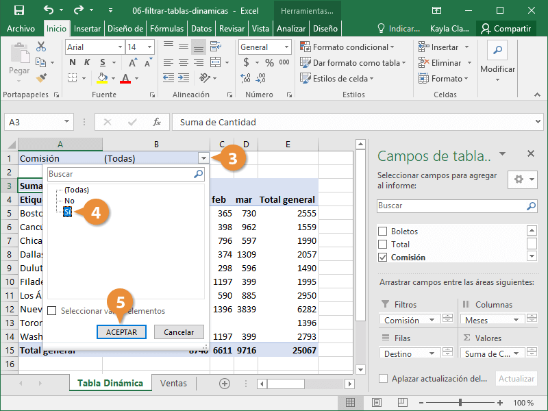 Filtrar Tablas Dinámicas