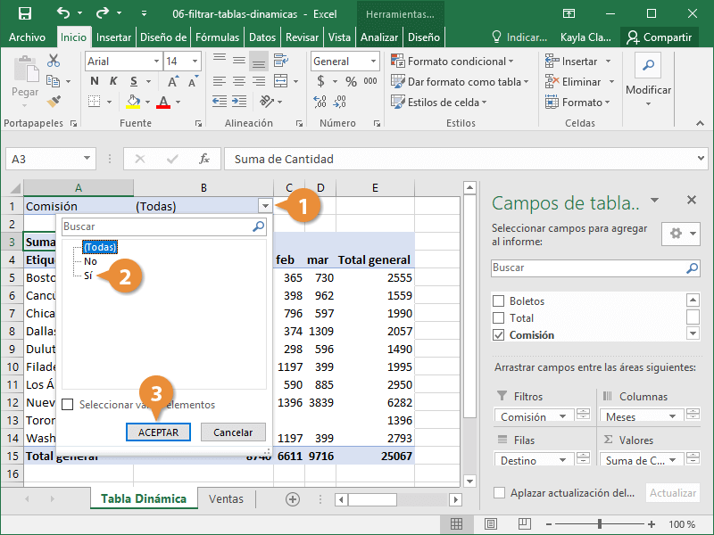 Mostrar detalle de una Tabla dinámica en Excel.