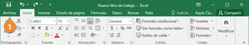 Guardar un Libro de Trabajo