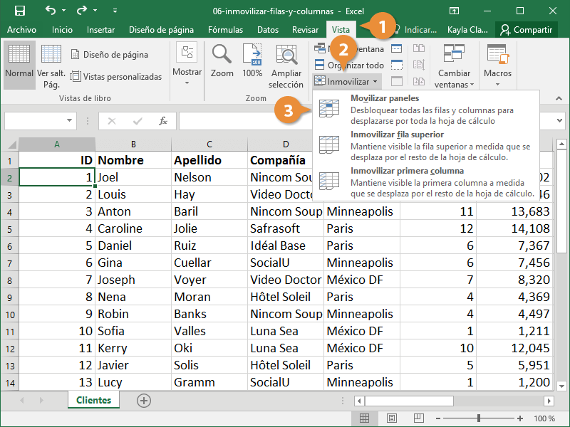 Inmovilizar Filas Columnas CustomGuide