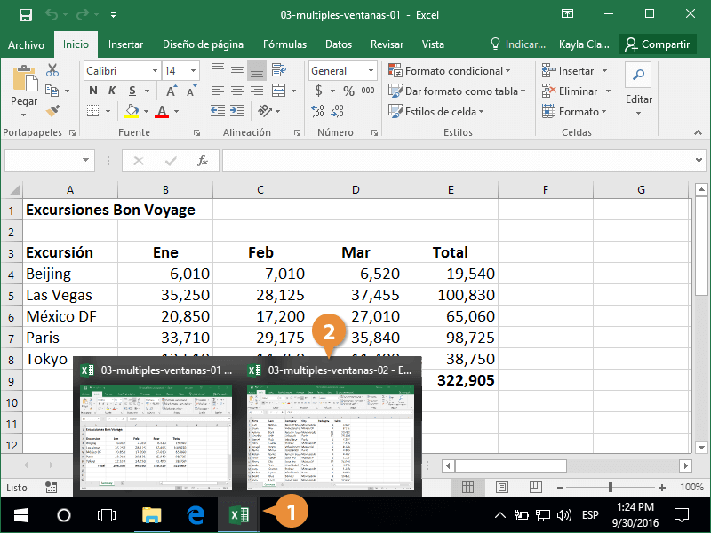 Vista de una Hoja de Calculo