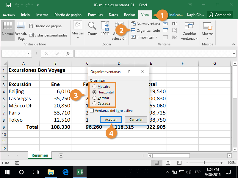 Vista de una Hoja de Calculo