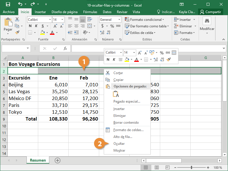 Ocultar filas y columnas