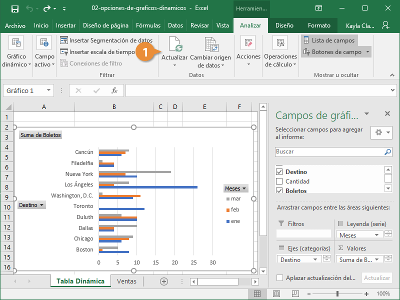 Opciones de Gráficos Dinámicos