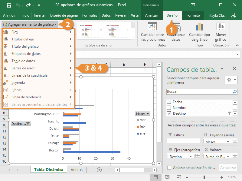 Opciones de Gráficos Dinámicos