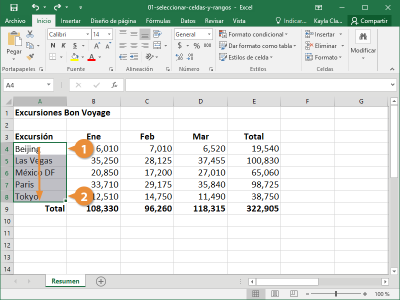 Seleccionar Celdas y Rangos