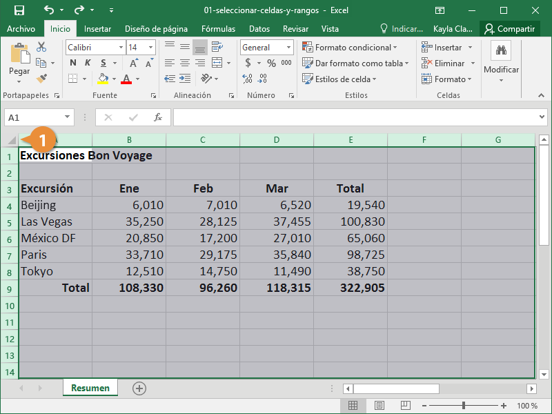 Seleccionar Celdas y Rangos