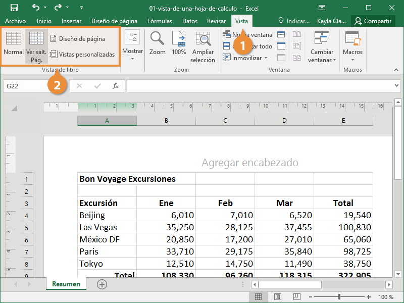 Vista de una Hoja de Calculo