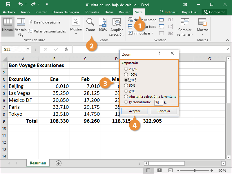 Vista de una Hoja de Calculo