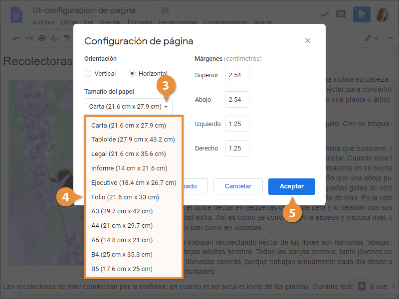 Configuración de Página