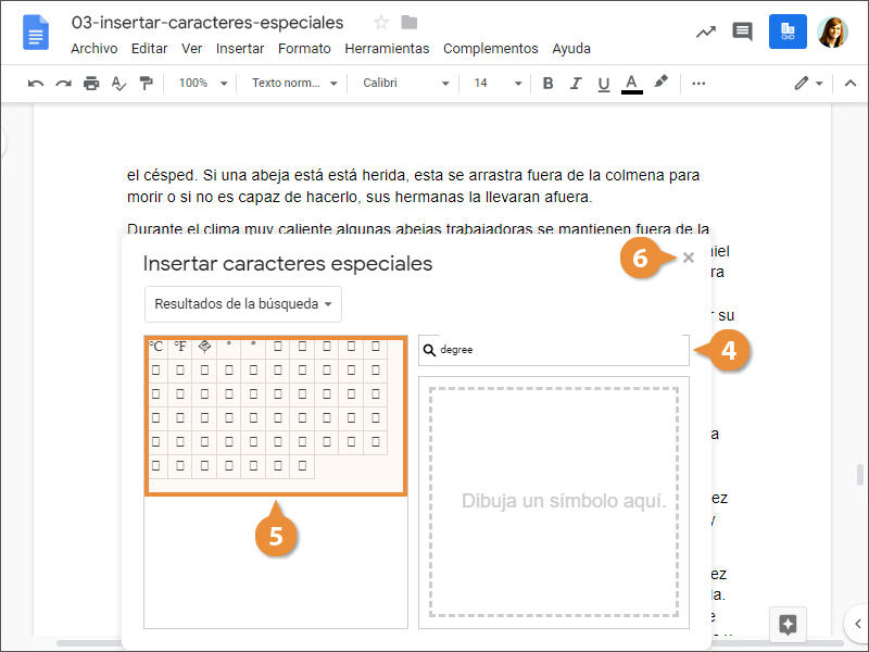 Insertar Caracteres Especiales