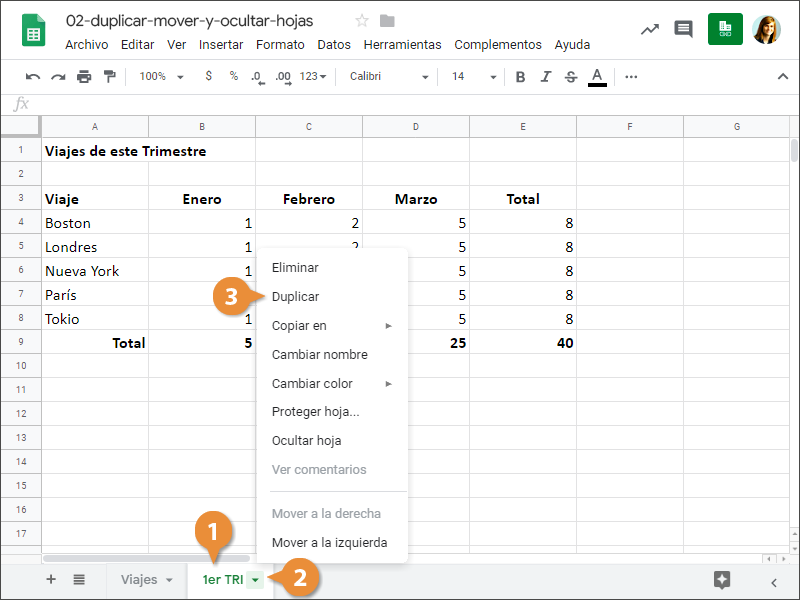 Duplicar, Mover y Ocular Hojas