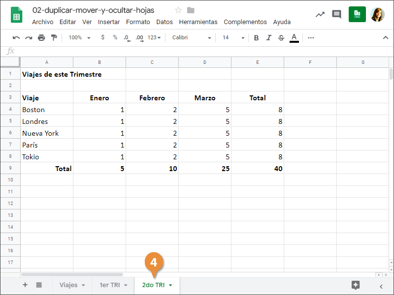 Duplicar, Mover y Ocular Hojas