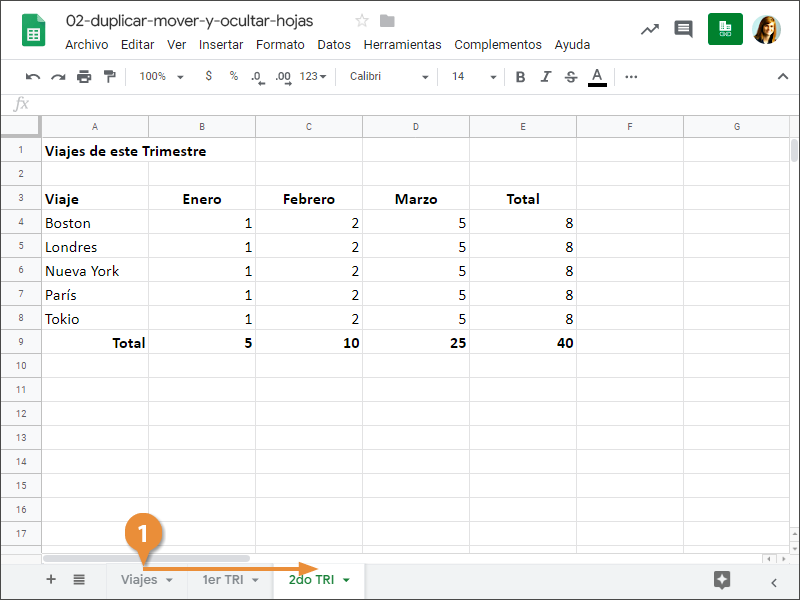 Duplicar, Mover y Ocular Hojas