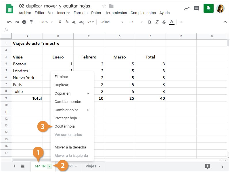 Duplicar, Mover y Ocular Hojas