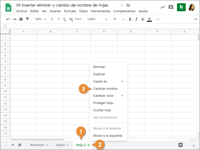 Insertar, Eliminar y Cambio de Nombre de Hojas