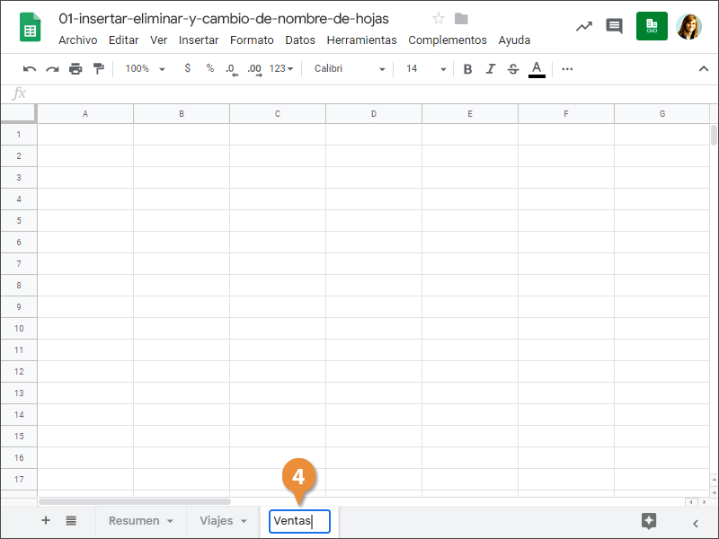 Insertar, Eliminar y Cambio de Nombre de Hojas