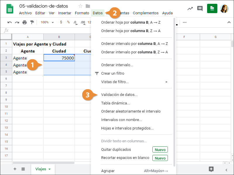 Validación de Datos