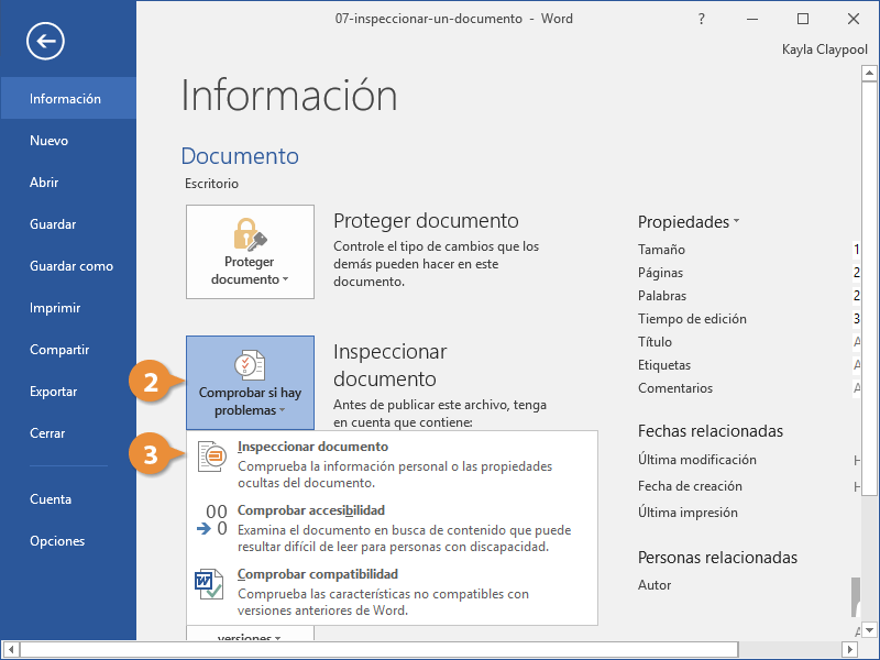 Inspeccionar un Documento