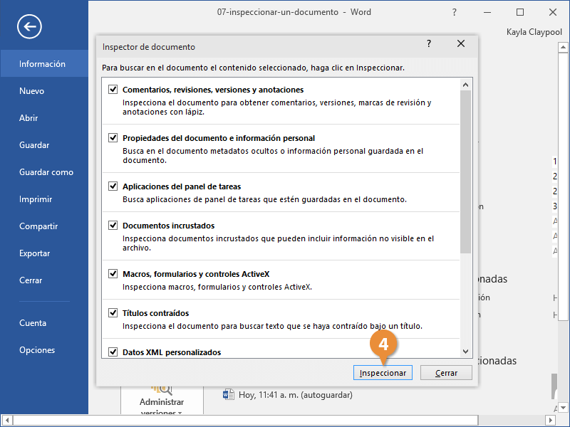 Inspeccionar Documento
