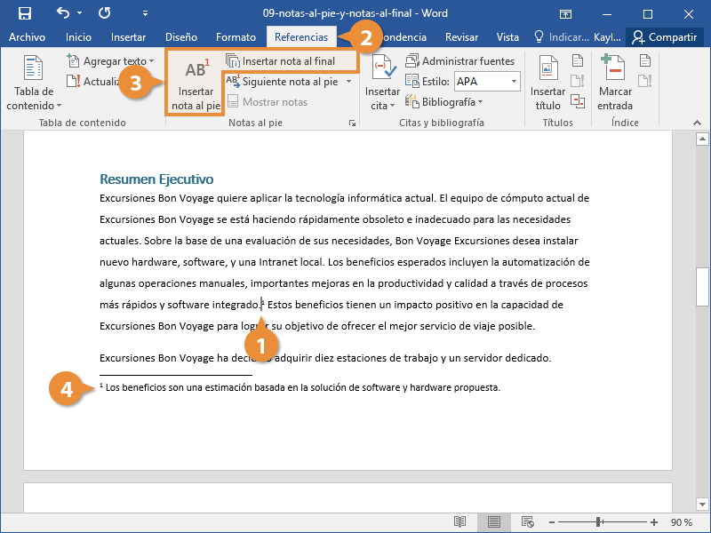 Notas al Pie y Notas al Final