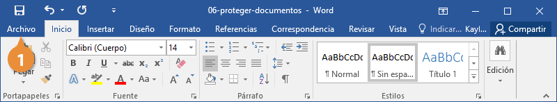 Proteger Documentos