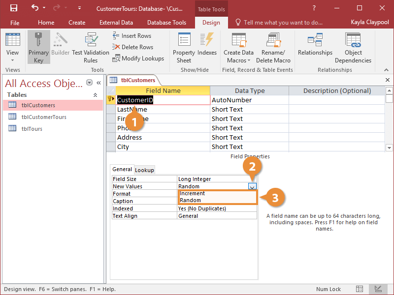 Add a Primary Key and Auto-Increment Fields