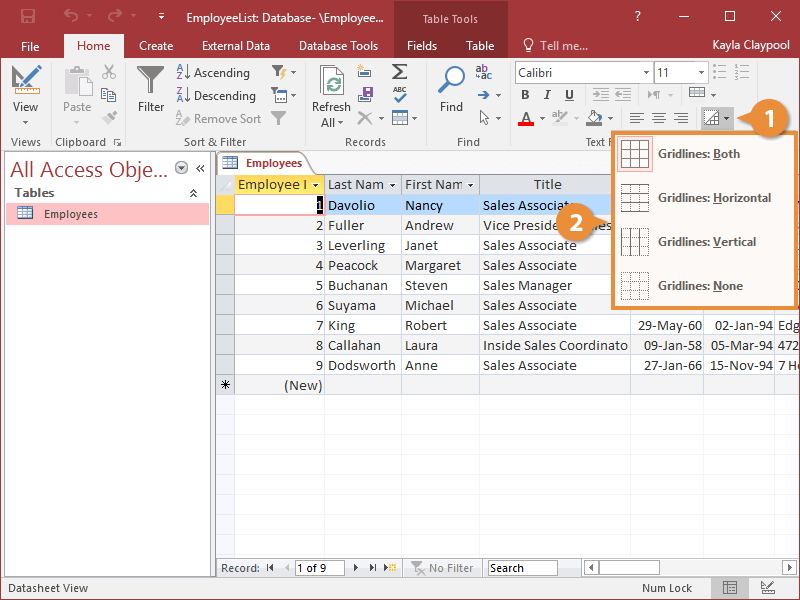 Change Gridlines and Cell Effects