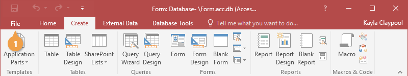 Set a Startup Form