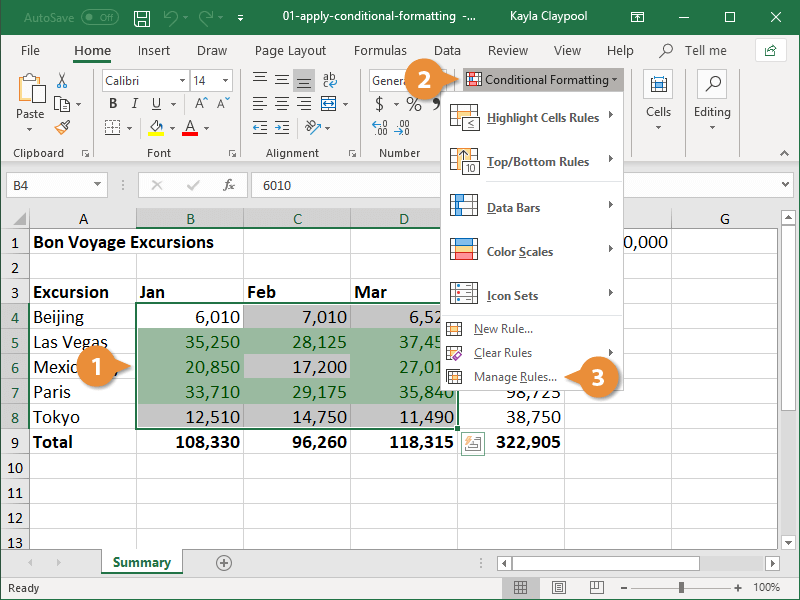 Excel Conditional Formatting CustomGuide