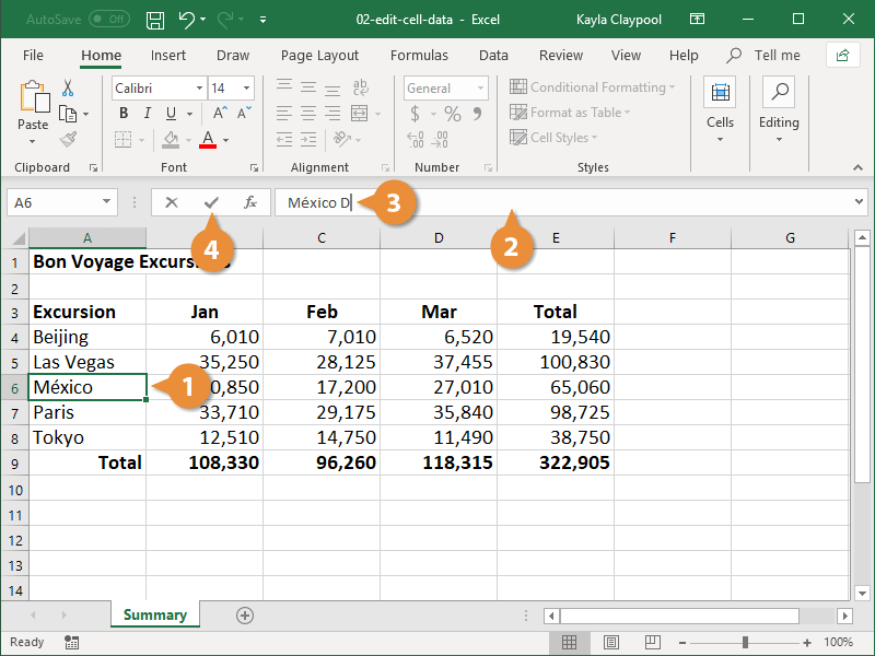 Edit Cell Data