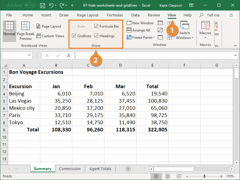 Hide or Display Worksheet Elements