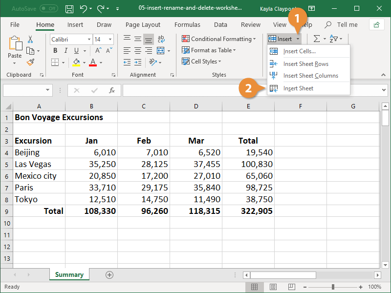 How to Delete a Sheet in Excel | CustomGuide