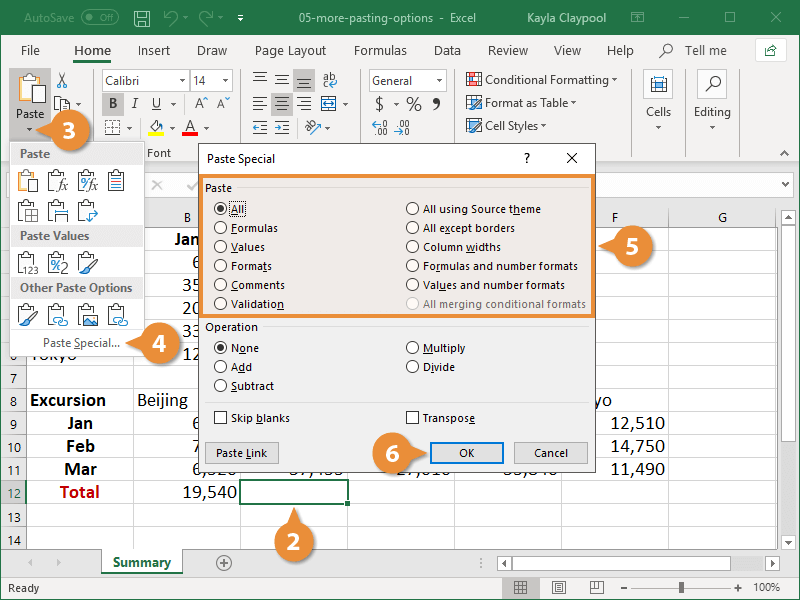 Advanced Paste Special Commands