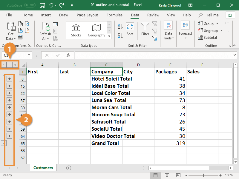 Outline and Subtotal