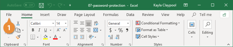 Password Protection