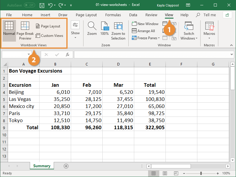 Change Worksheet Views