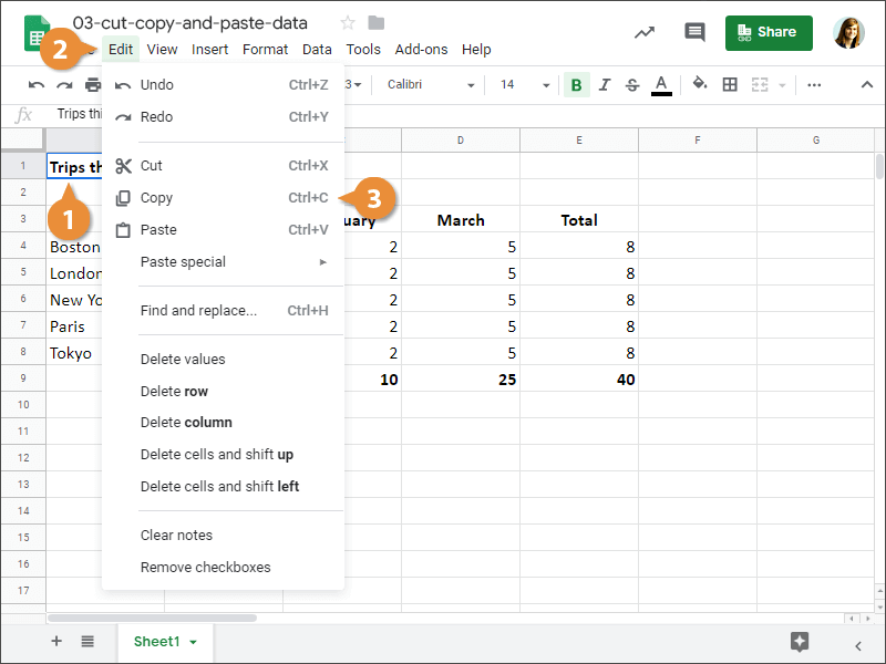 Cut, Copy and Paste Data