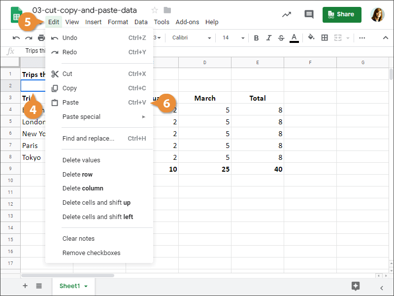 Cut, Copy and Paste Data