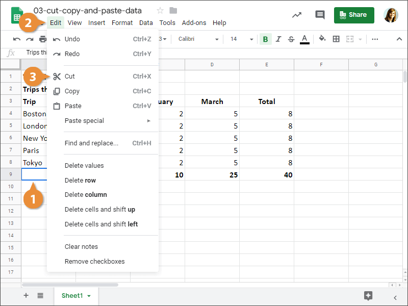 Cut, Copy and Paste Data