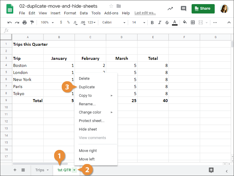 Duplicate, Move, and Hide Sheets.