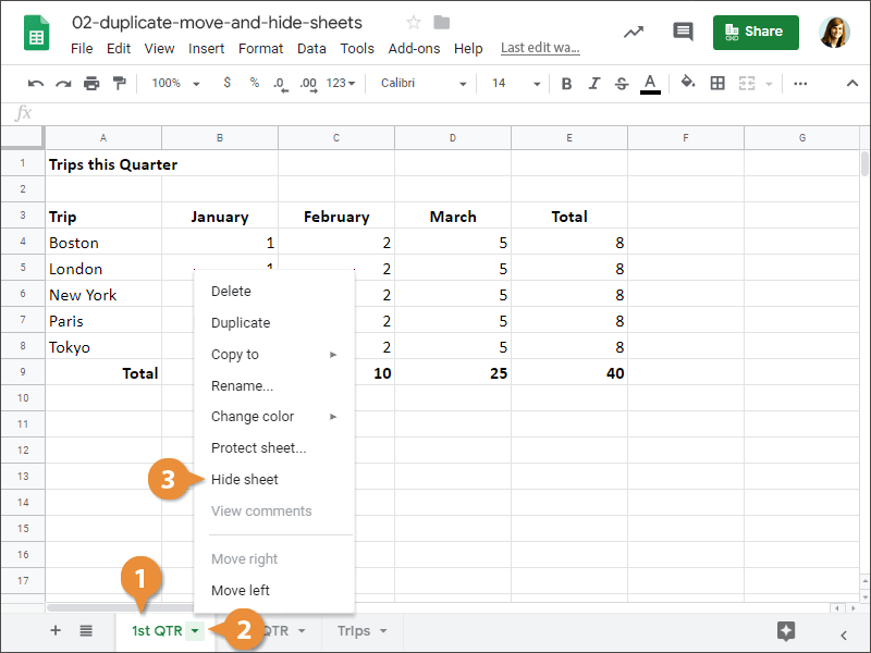 Duplicate, Move, and Hide Sheets.