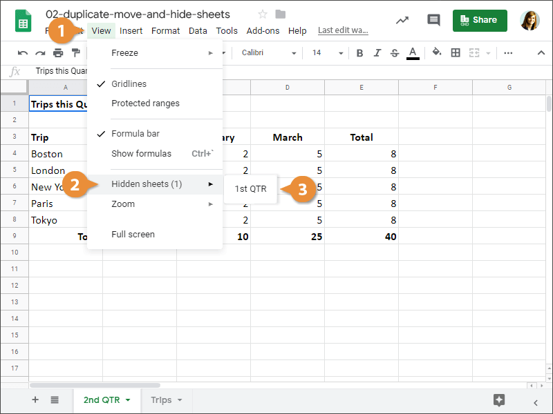 Duplicate, Move, and Hide Sheets.