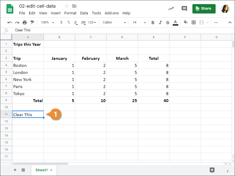 Edit Cell Data