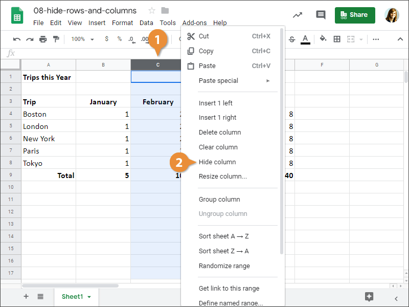 Hide Rows and Columns